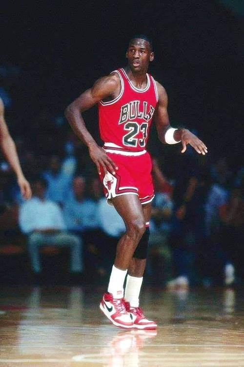 科雷亚的职 科雷亚的职